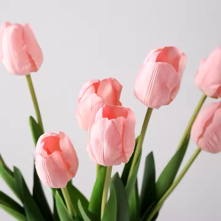 Nærbillede af naturtro lyserøde tulipaner – bløde kronblade og grønne stilke