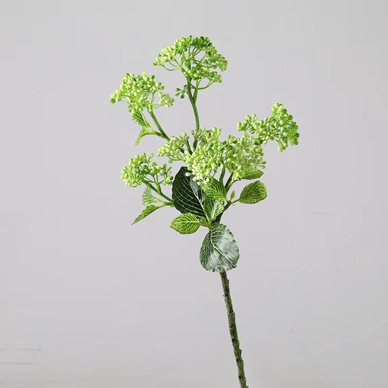 Buket af hyldebærblomster