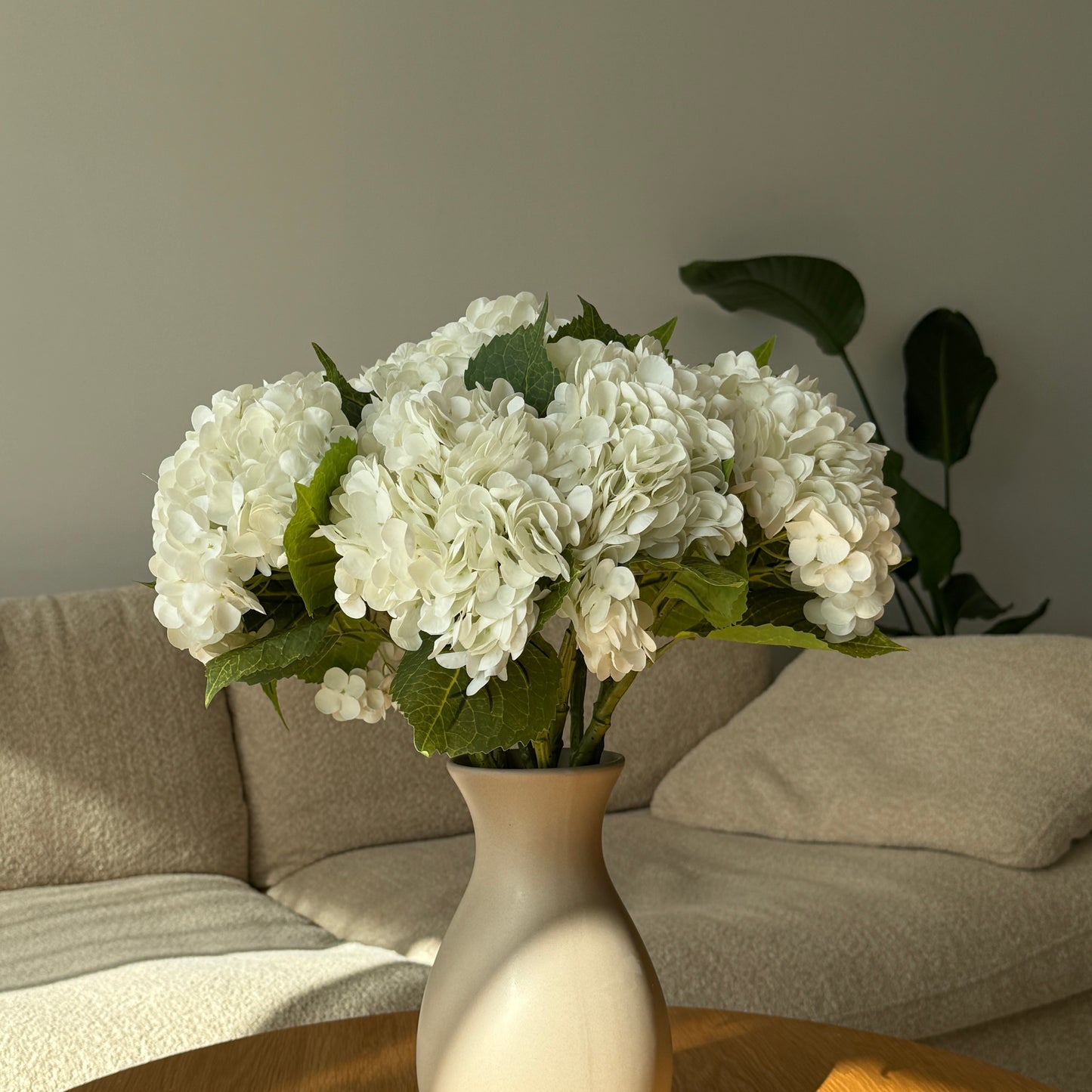 Hydrangea Luxe