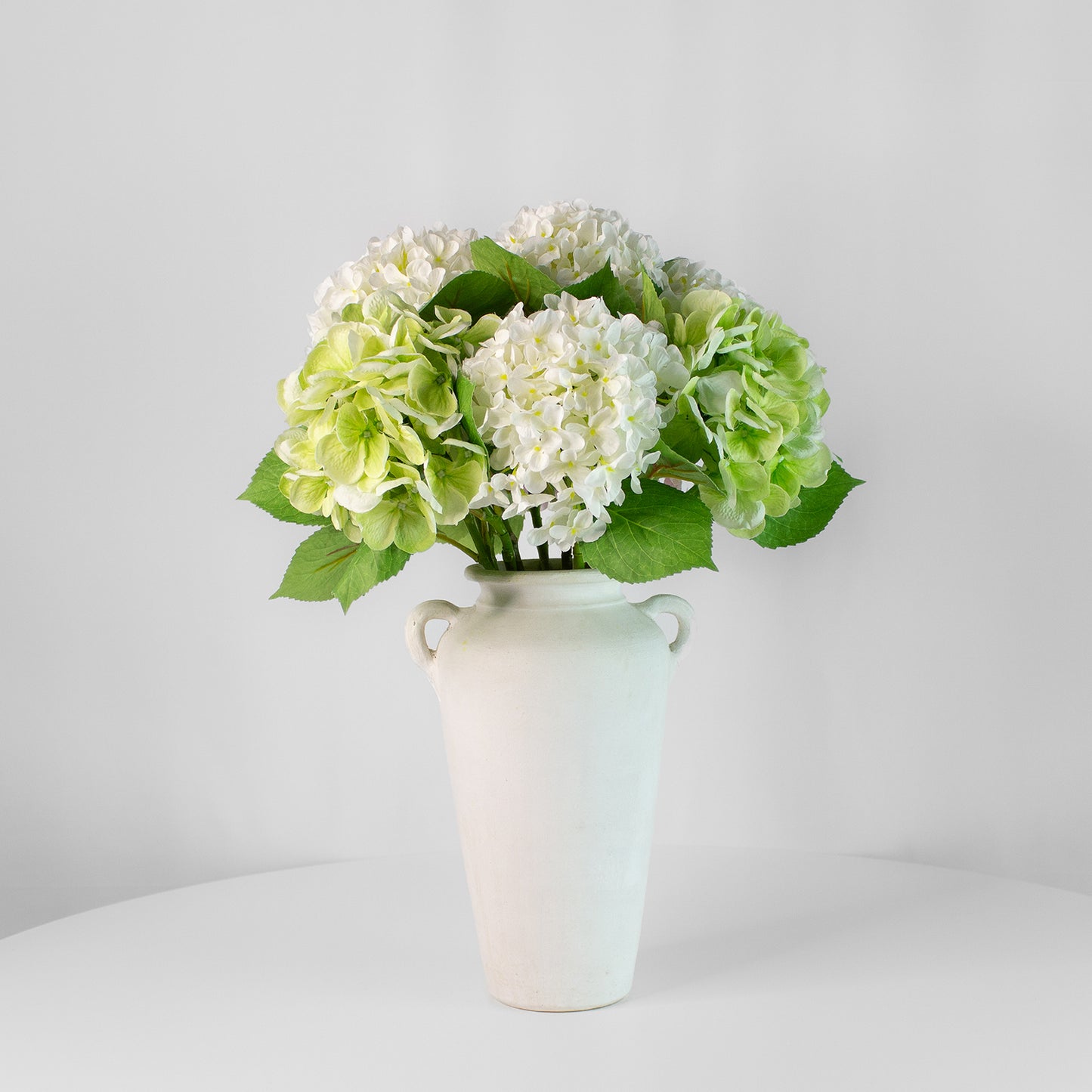 Hortensia Serenity