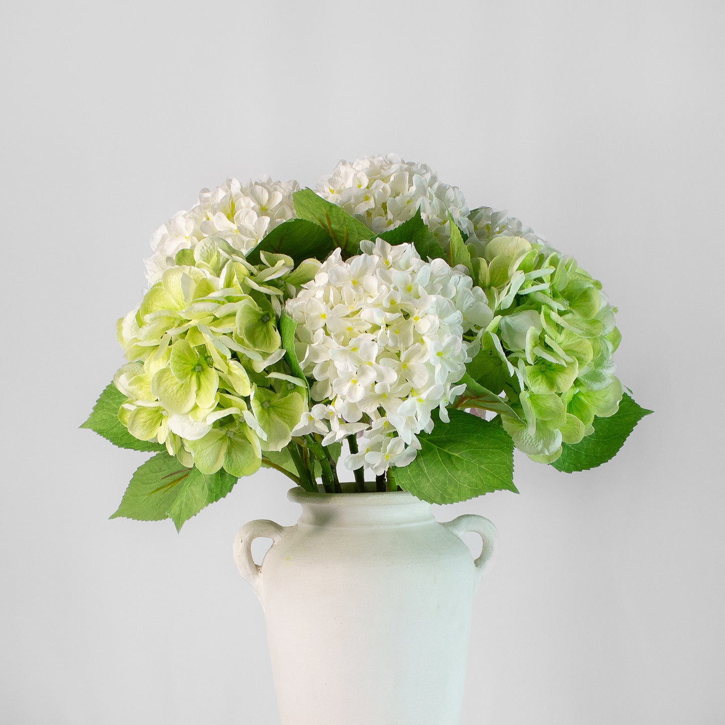 Hortensia Serenity