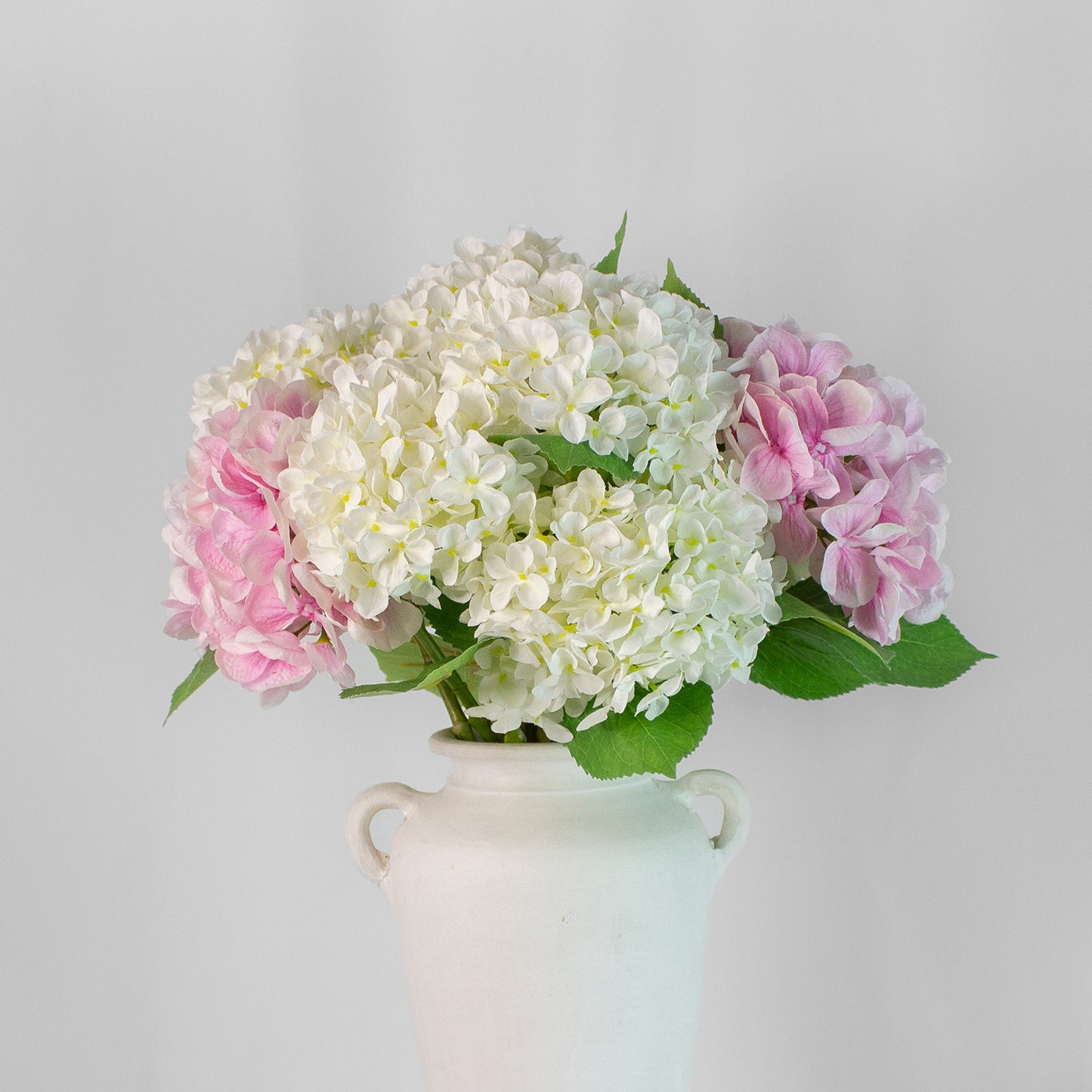 Hortensia Bliss
