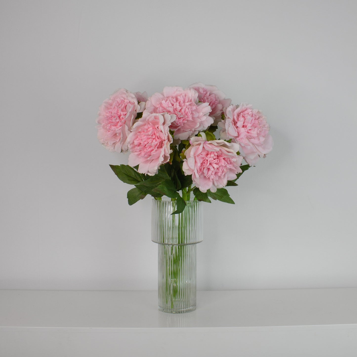 Blush Peonies