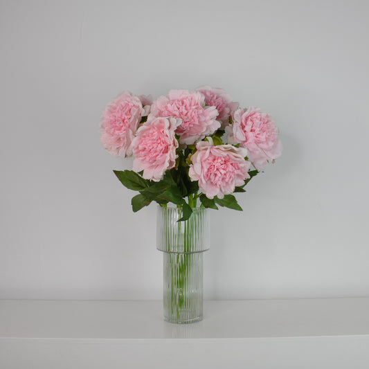Blush Peonies