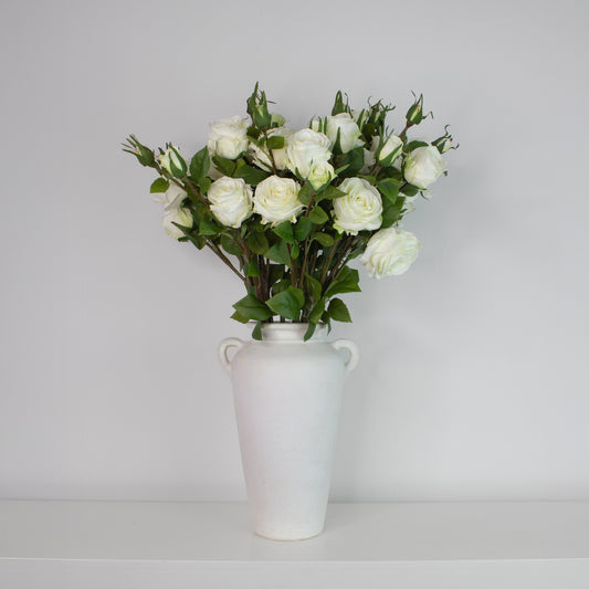Snow Garden Roses