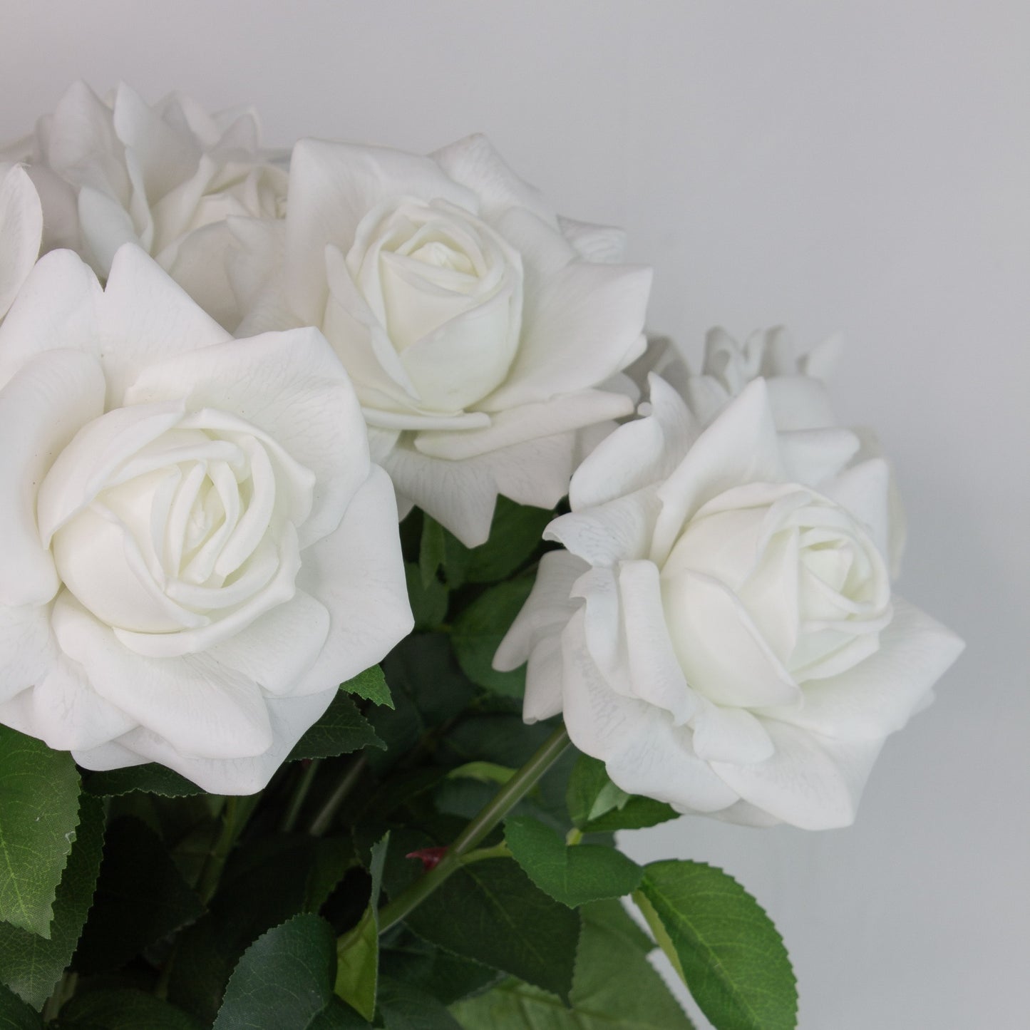 Ivory Roses Luxe