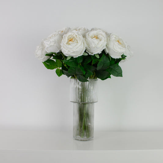 English Garden Rose