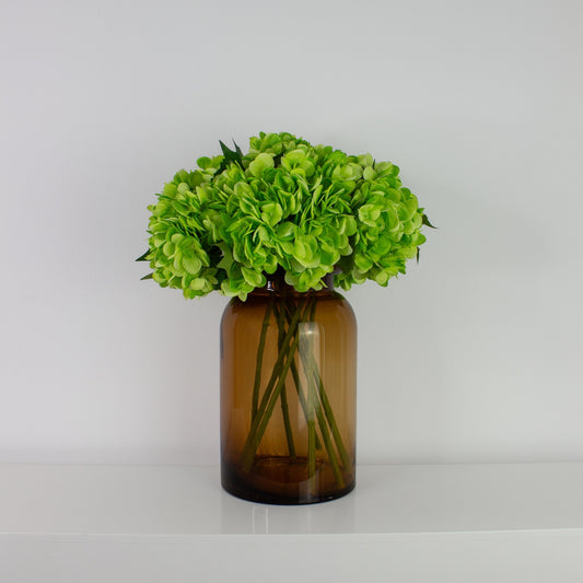 Lime Glow Hydrangea