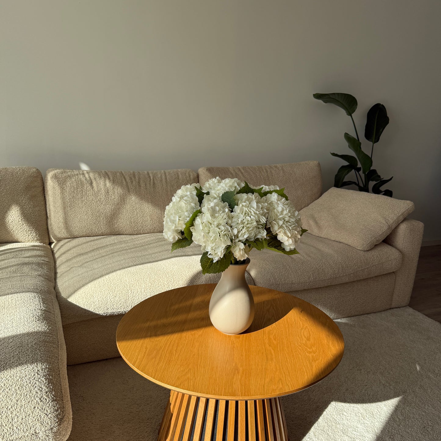 Hydrangea Luxe