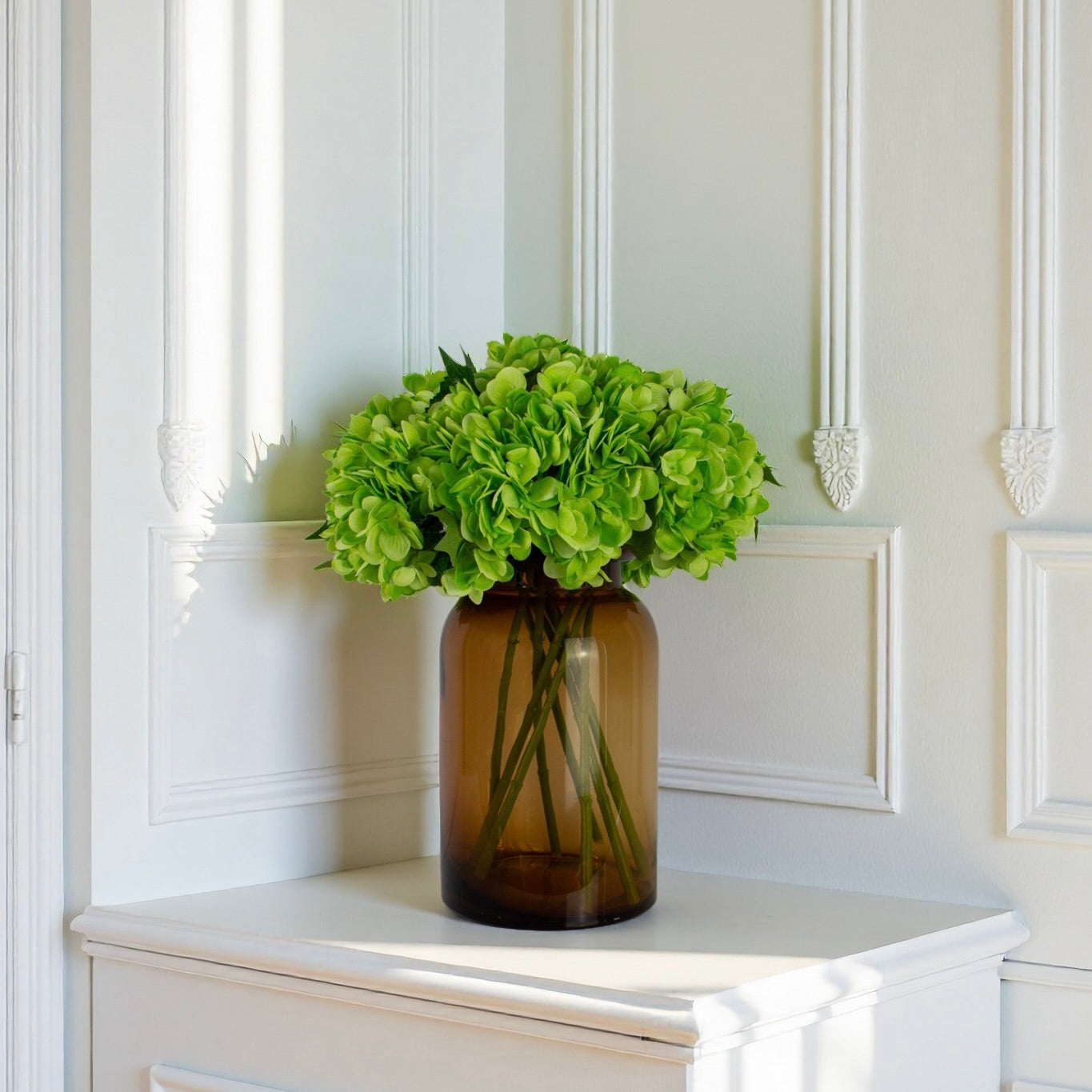 Lime Glow Hydrangea