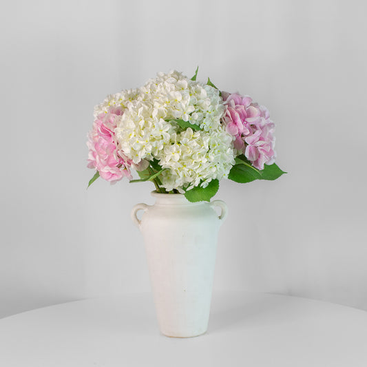 Hortensia Bliss